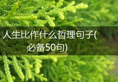 人生比作什么哲理句子(必备50句)