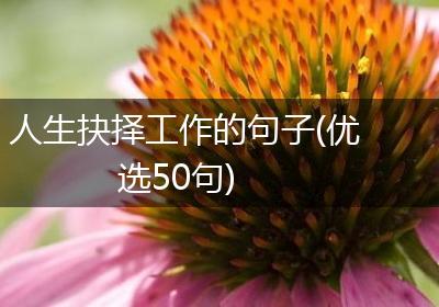 人生抉择工作的句子(优选50句)