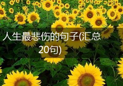 人生最悲伤的句子(汇总20句)
