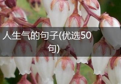 人生气的句子(优选50句)