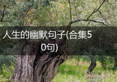 人生的幽默句子(合集50句)