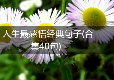 人生最感悟经典句子(合集40句)