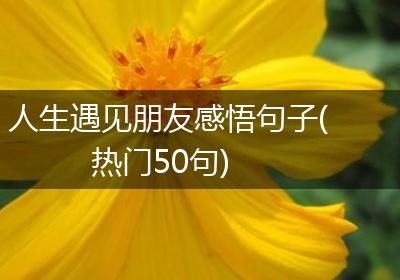 人生遇见朋友感悟句子(热门50句)