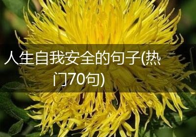 人生自我安全的句子(热门70句)