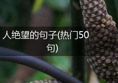 人绝望的句子(热门50句)