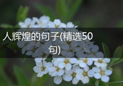 人辉煌的句子(精选50句)