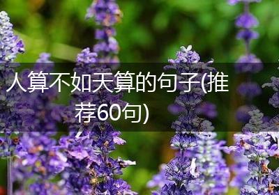 人算不如天算的句子(推荐60句)