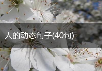 人的动态句子(40句)