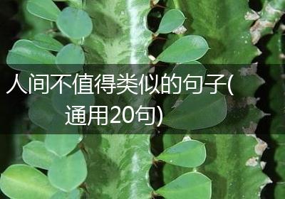 人间不值得类似的句子(通用20句)