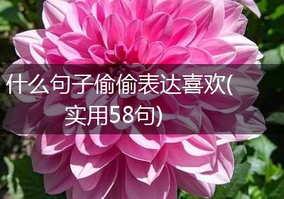 什么句子偷偷表达喜欢(实用58句)