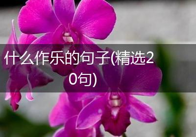 什么作乐的句子(精选20句)