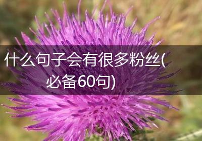 什么句子会有很多粉丝(必备60句)