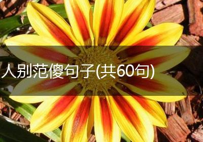 人别范傻句子(共60句)