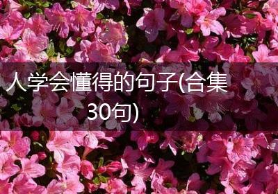 人学会懂得的句子(合集30句)