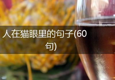 人在猫眼里的句子(60句)