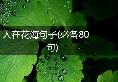 人在花海句子(必备80句)
