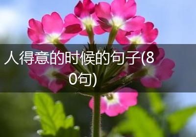 人得意的时候的句子(80句)