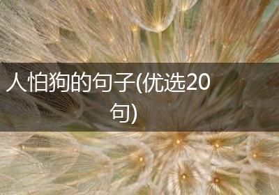 人怕狗的句子(优选20句)