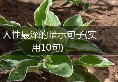 人性最深的暗示句子(实用10句)