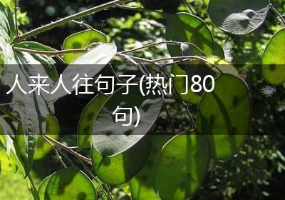 人来人往句子(热门80句)