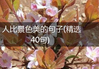 人比景色美的句子(精选40句)