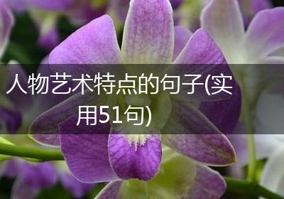 人物艺术特点的句子(实用51句)