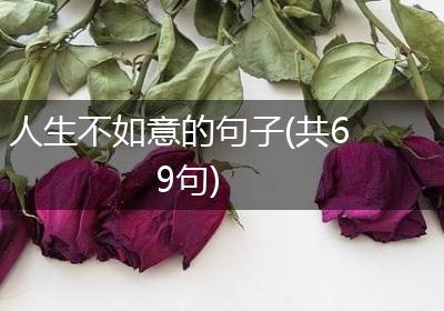 人生不如意的句子(共69句)