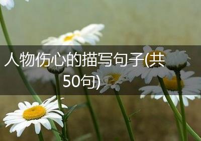 人物伤心的描写句子(共50句)