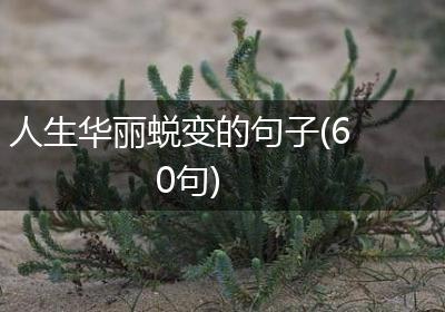 人生华丽蜕变的句子(60句)