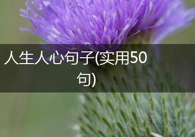 人生人心句子(实用50句)