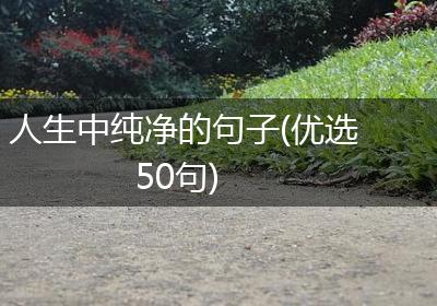 人生中纯净的句子(优选50句)
