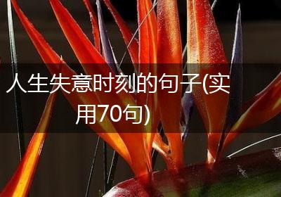人生失意时刻的句子(实用70句)