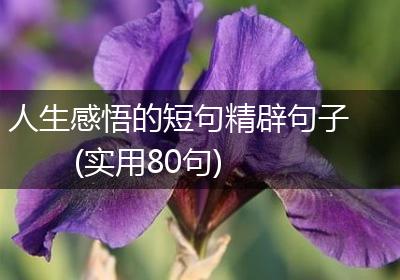 人生感悟的短句精辟句子(实用80句)