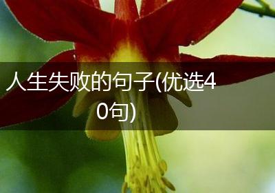人生失败的句子(优选40句)