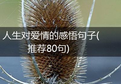 人生对爱情的感悟句子(推荐80句)