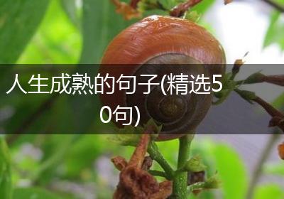 人生成熟的句子(精选50句)