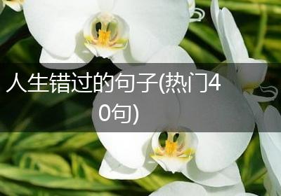 人生错过的句子(热门40句)