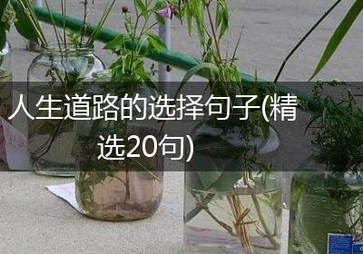 人生道路的选择句子(精选20句)