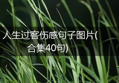 人生过客伤感句子图片(合集40句)