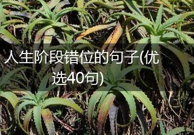 人生阶段错位的句子(优选40句)