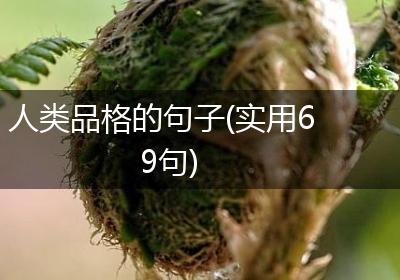 人类品格的句子(实用69句)