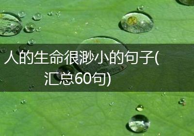 人的生命很渺小的句子(汇总60句)