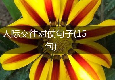 人际交往对仗句子(15句)