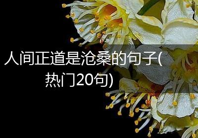 人间正道是沧桑的句子(热门20句)