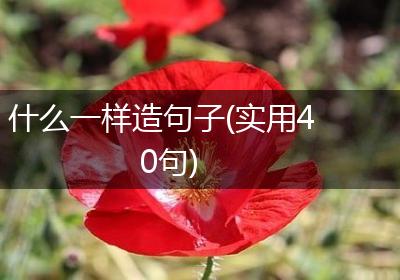 什么一样造句子(实用40句)