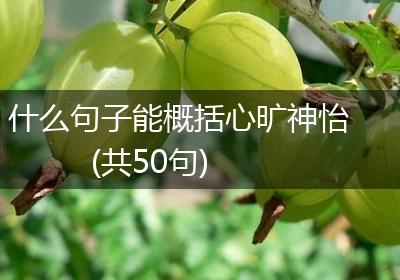 什么句子能概括心旷神怡(共50句)