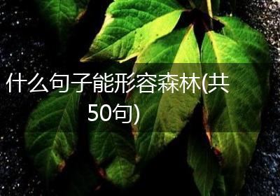 什么句子能形容森林(共50句)
