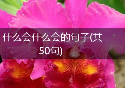 什么会什么会的句子(共50句)