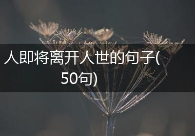 人即将离开人世的句子(50句)