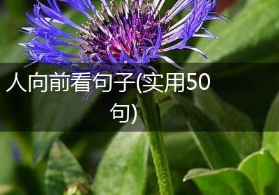 人向前看句子(实用50句)